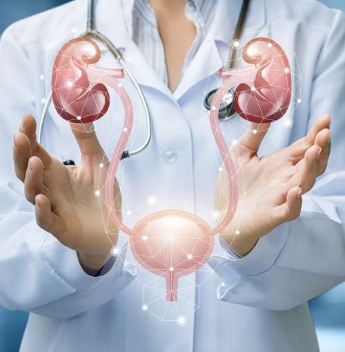 Urology & Urosurgery